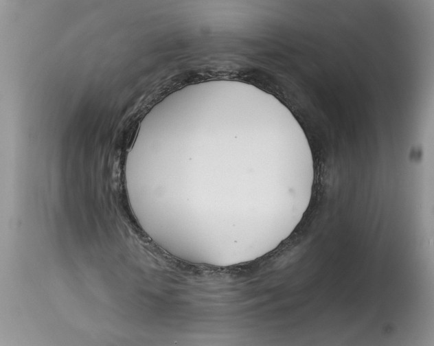 X0000114010818200910231813