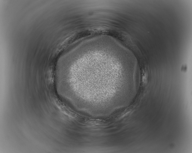 X0000114010819200910231813