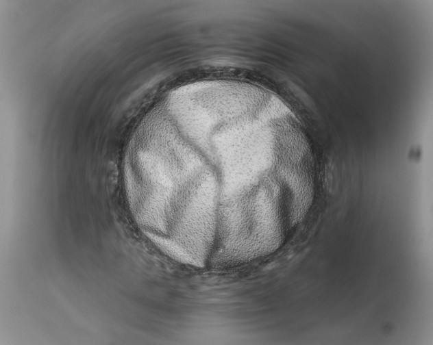 X0000114010821200910231813