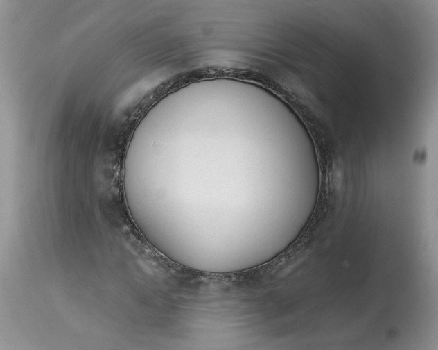 X0000114010822200910231813