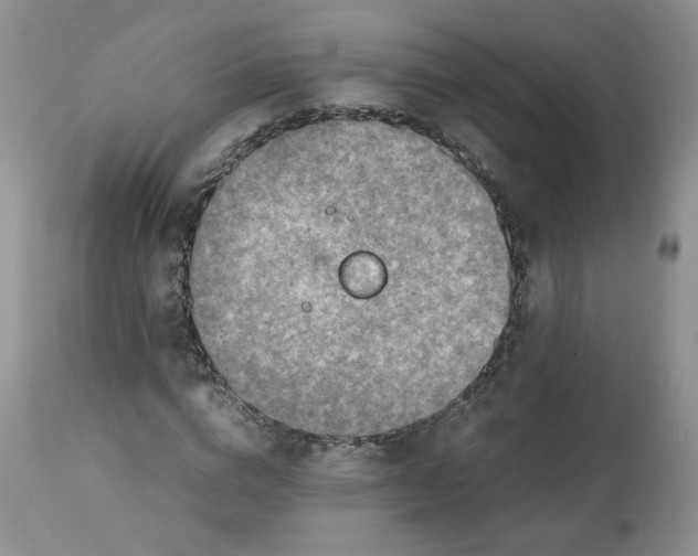 X0000114010824200910231813