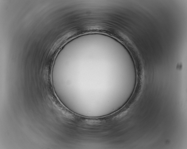 X0000114010825200910231813