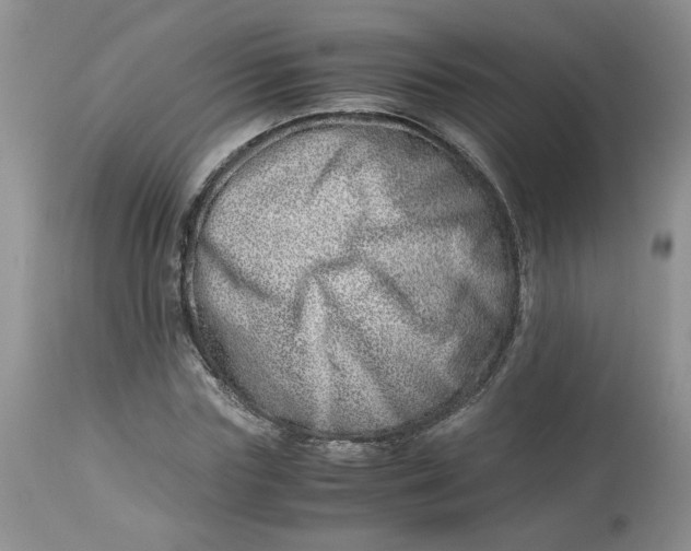 X0000114010827200910231813