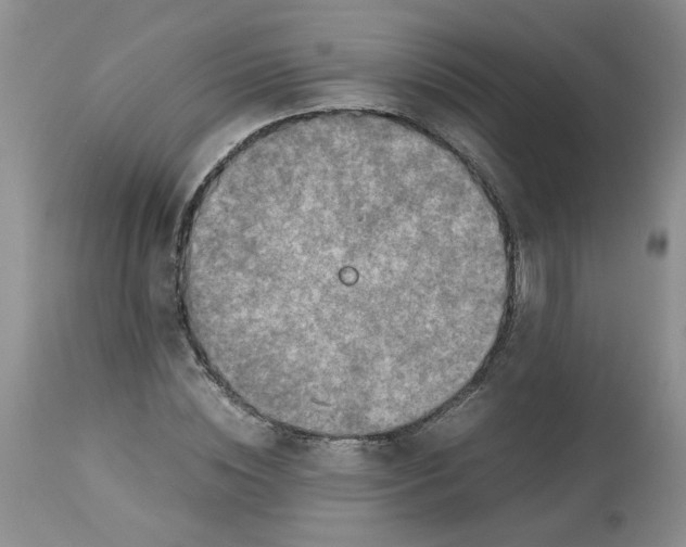 X0000114010828200910231813