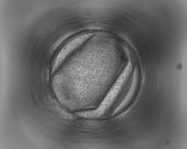 X0000114010829200910231813