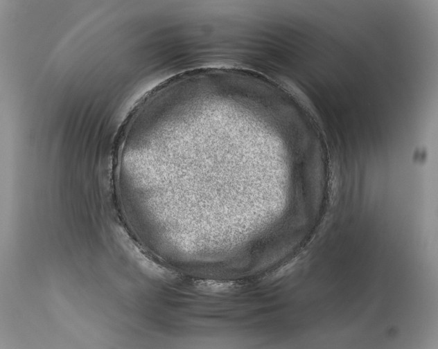 X0000114010831200910231813