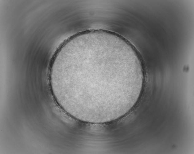 X0000114010832200910231813