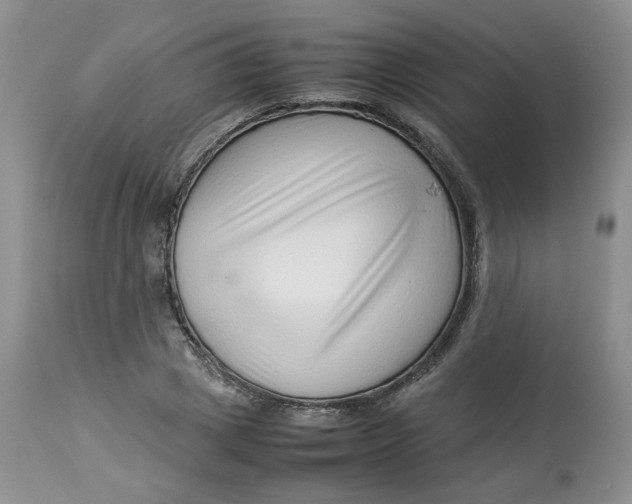 X0000114010833200910231813