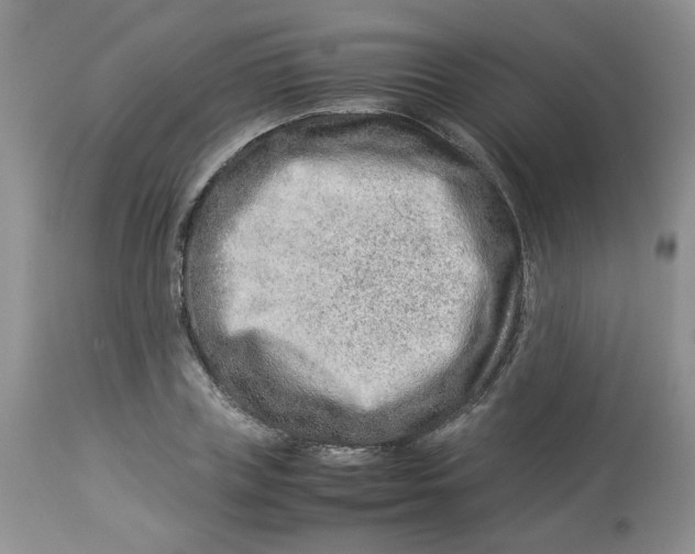 X0000114010835200910231813