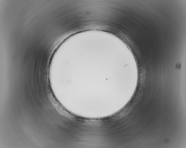 X0000114010836200910231813