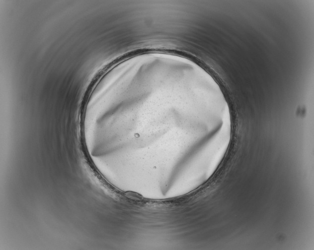 X0000114010840200910231813