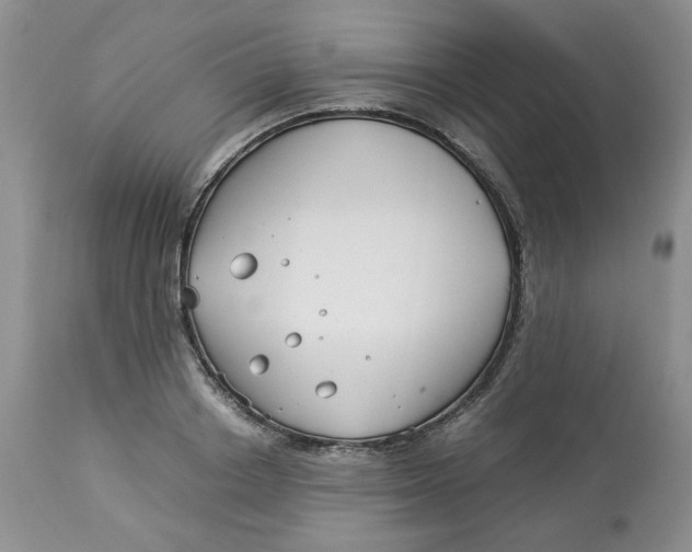 X0000114010842200910231813