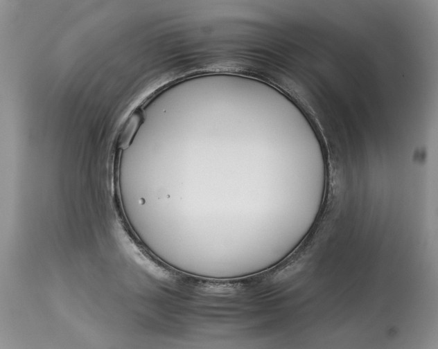 X0000114010843200910231813