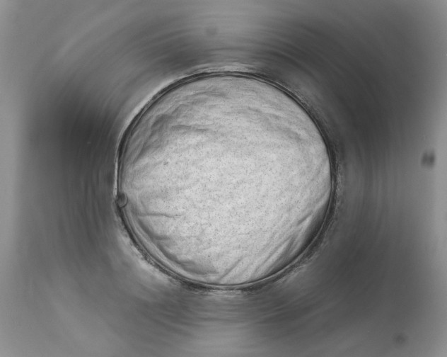 X0000114010844200910231813