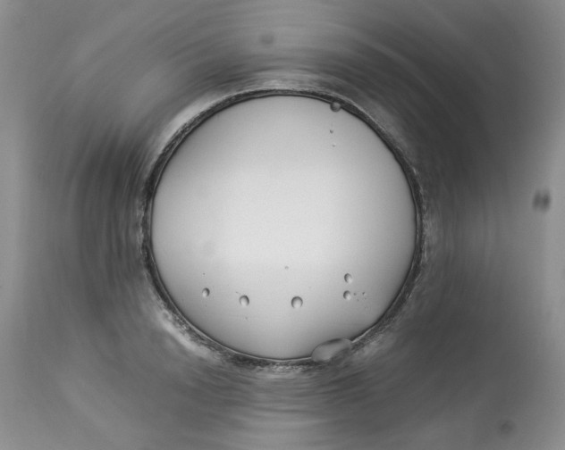 X0000114010846200910231813