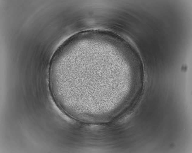 X0000114010847200910231813