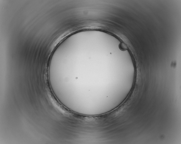 X0000114010850200910231813