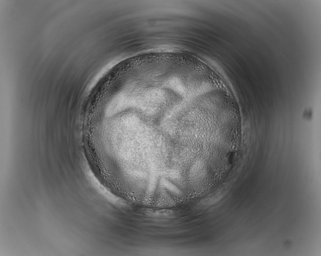 X0000114010851200910231813