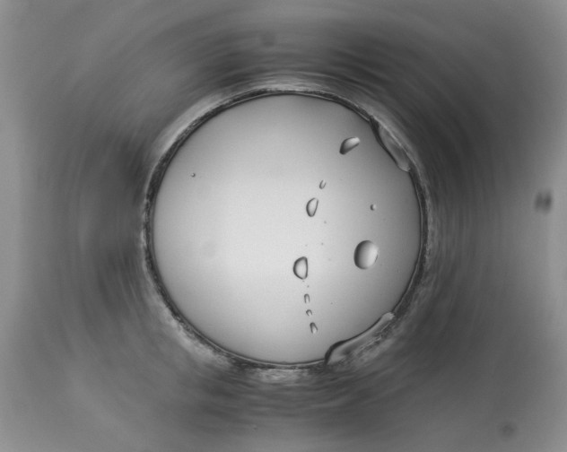 X0000114010853200910231813