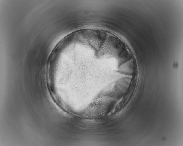 X0000114010855200910231813