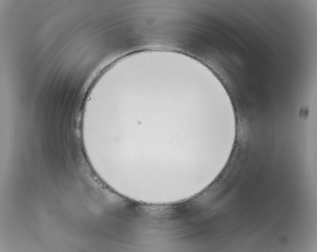 X0000114010856200910231813