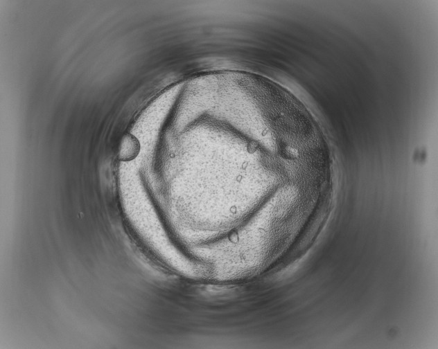 X0000114010857200910231813