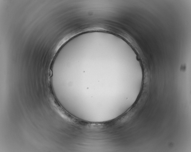 X0000114010858200910231813