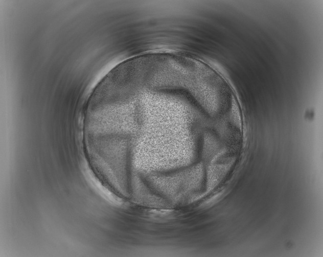 X0000114010859200910231813