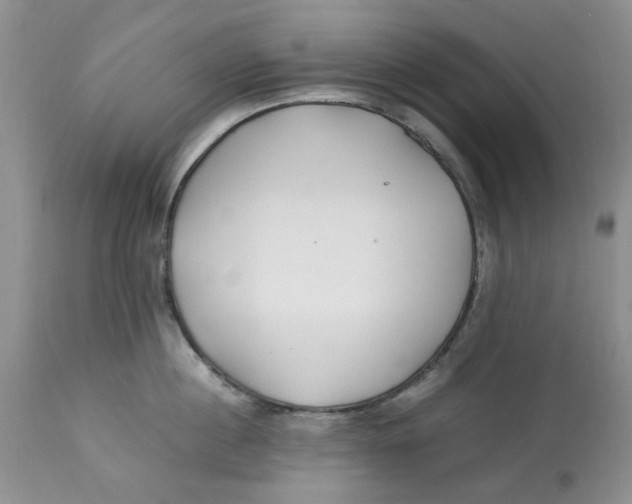 X0000114010860200910231813