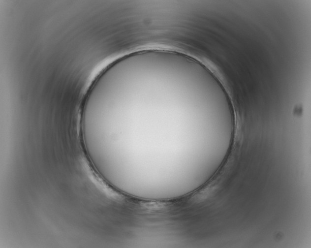 X0000114010862200910231813