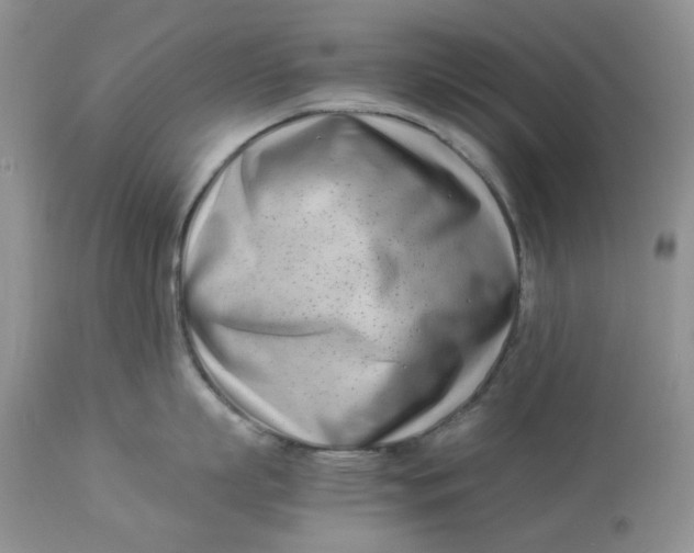 X0000114010863200910231813