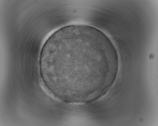 X0000114010864200910231813