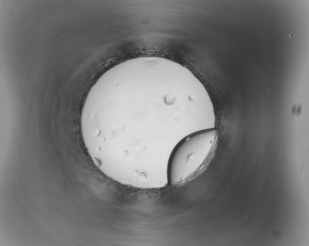 X0000114010865200910231813