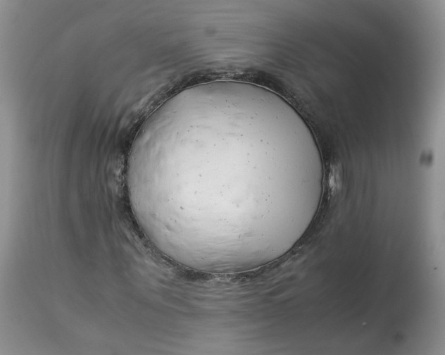 X0000114010867200910231813