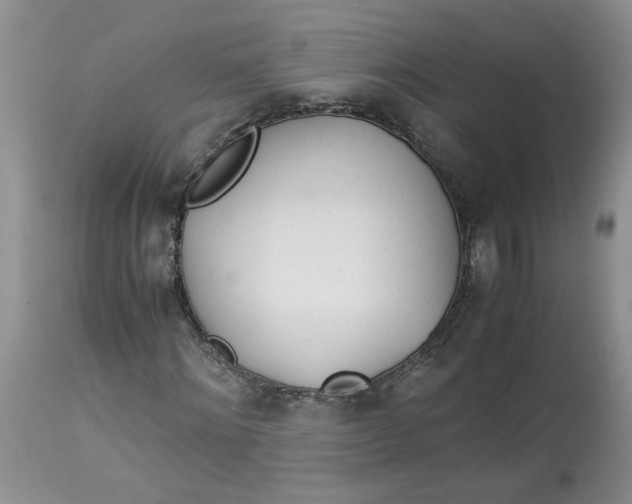 X0000114010868200910231812