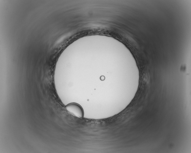 X0000114010869200910231812