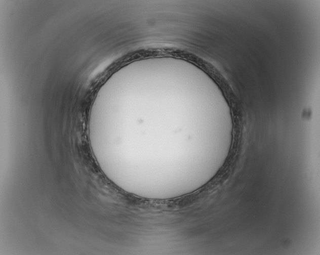 X0000114010871200910231812