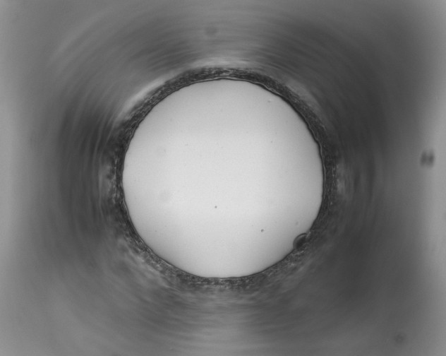 X0000114010872200910231812