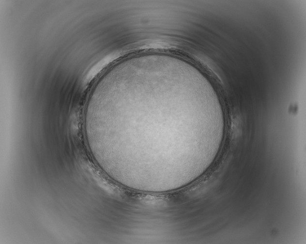 X0000114010874200910231812