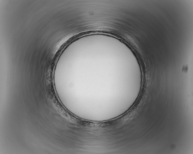 X0000114010875200910231812