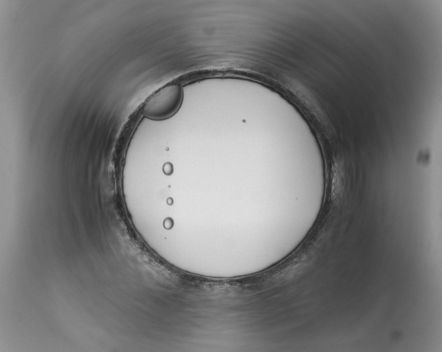 X0000114010876200910231812