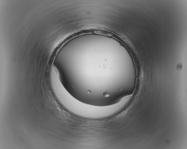 X0000114010877200910231812