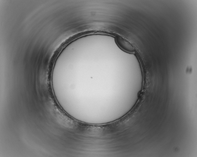 X0000114010880200910231812