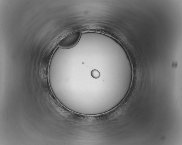 X0000114010881200910231812