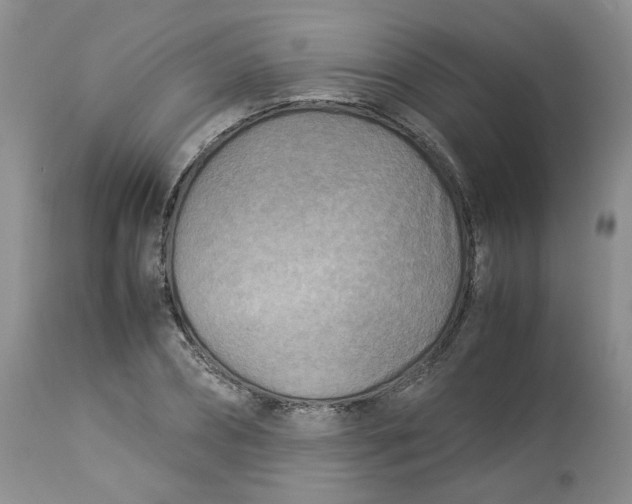 X0000114010882200910231812