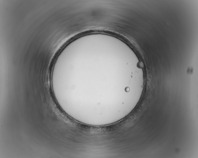 X0000114010887200910231812