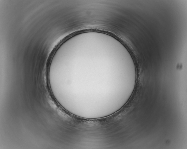 X0000114010888200910231812