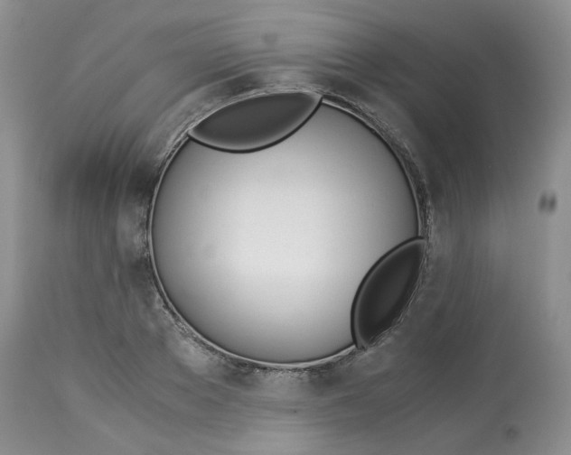 X0000114010889200910231812