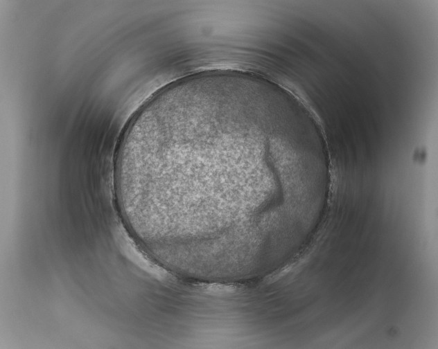 X0000114010890200910231812