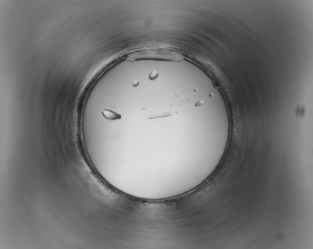 X0000114010894200910231812